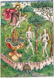 Die Schöpfung und die Versuchung von Adam und Eva, aus 